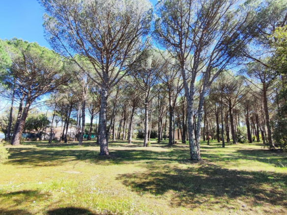 Terrain constructible à Vidauban (Var)