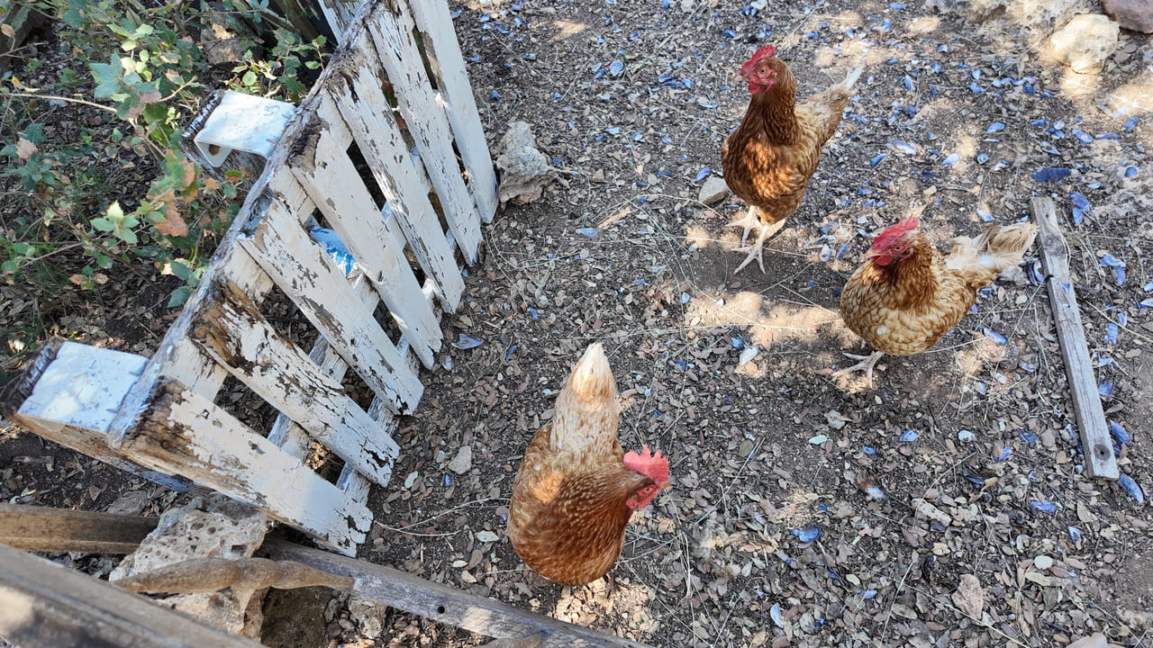 LLI 12 – Cabanon T3 avec terrain zone naturelle à vendre à Carnoules (Var) (3)